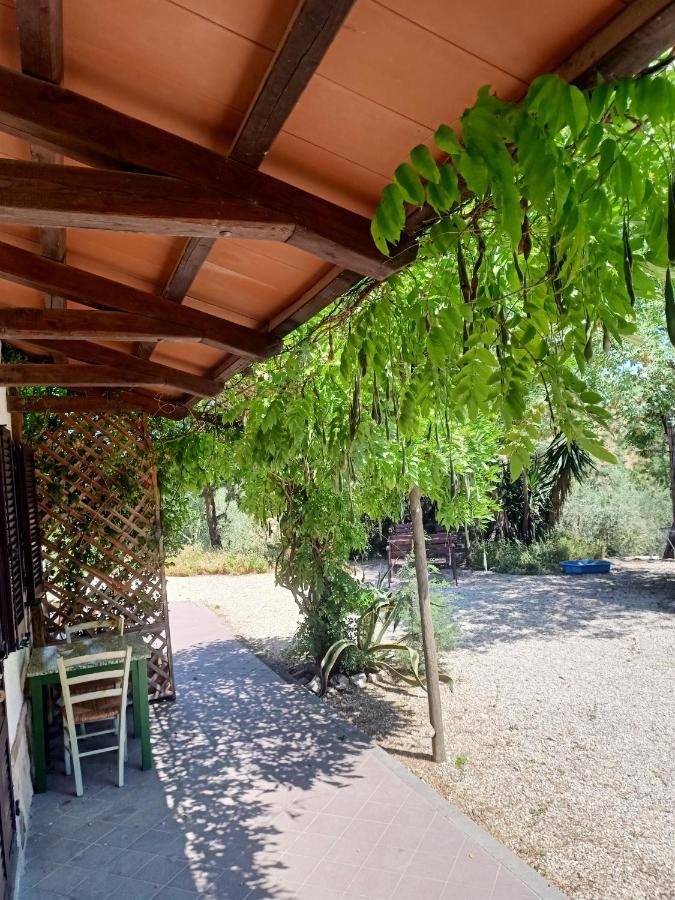 Agriturismo La Locandiera Montemerano Buitenkant foto