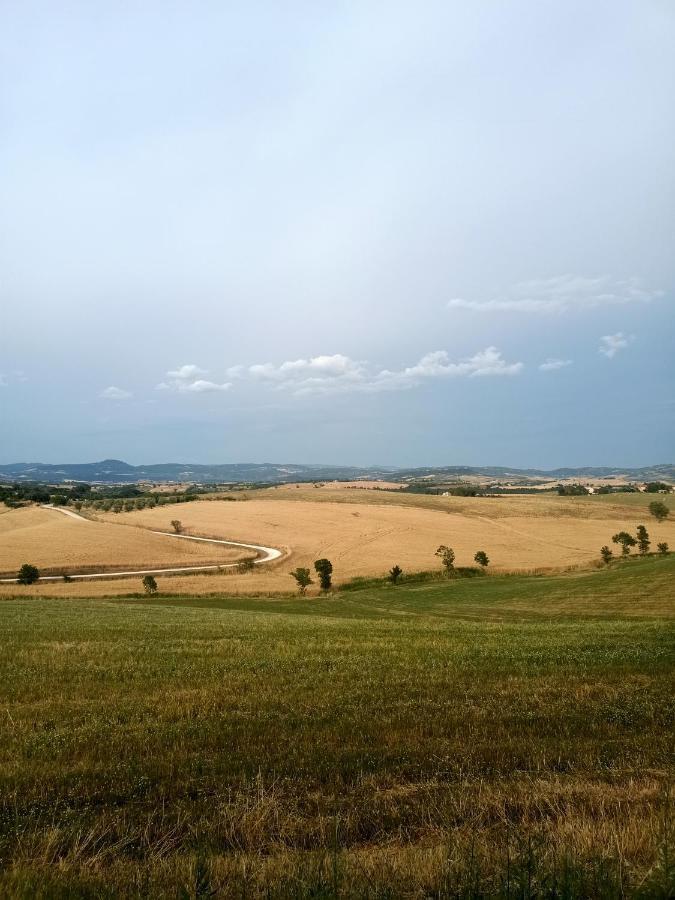 Agriturismo La Locandiera Montemerano Buitenkant foto