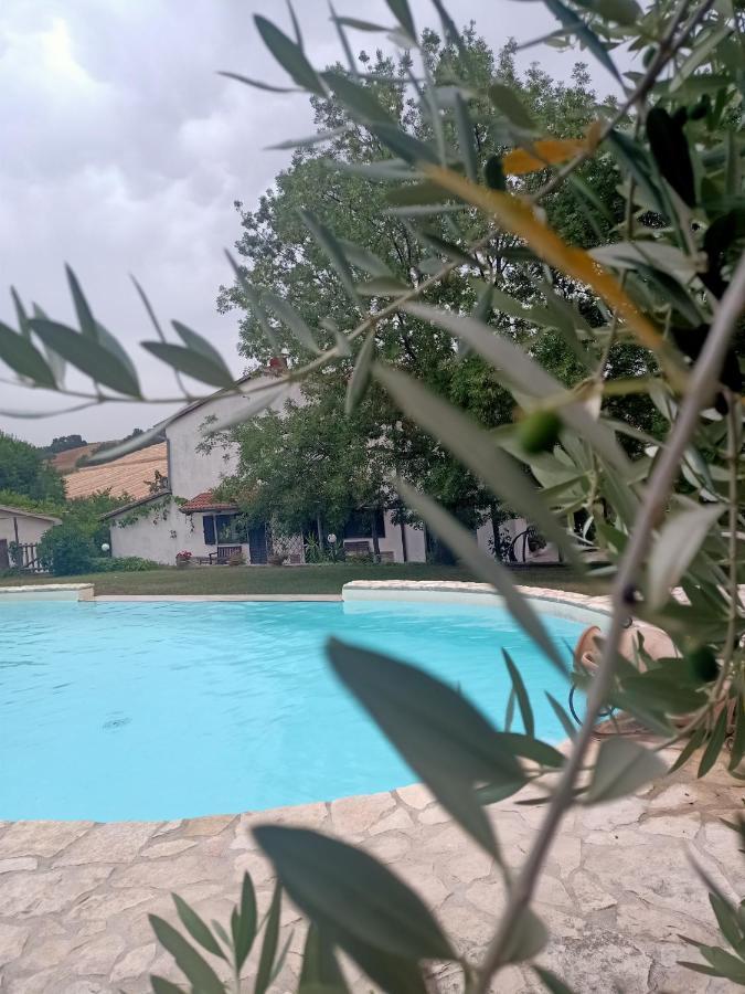 Agriturismo La Locandiera Montemerano Buitenkant foto