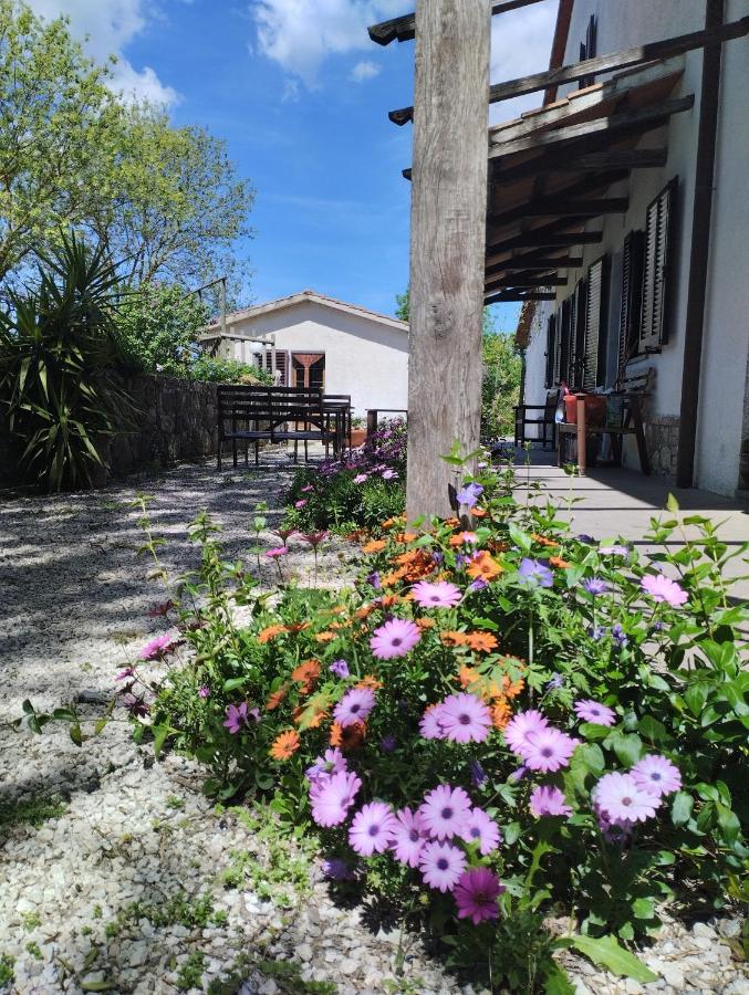 Agriturismo La Locandiera Montemerano Buitenkant foto