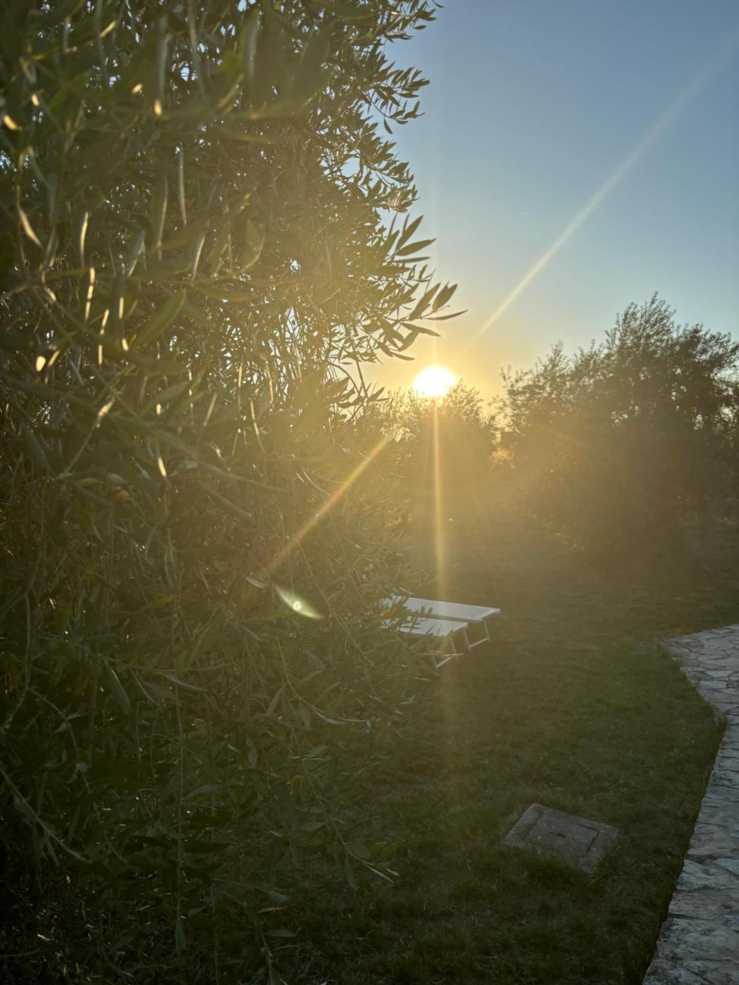 Agriturismo La Locandiera Montemerano Buitenkant foto